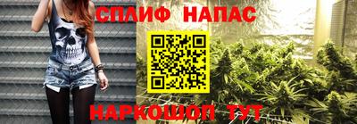гидра Свободный