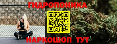 гидра Свободный
