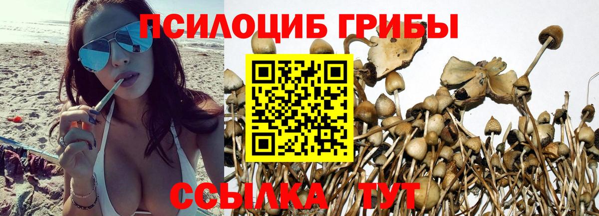 Псилоцибиновые грибы MAGIC MUSHROOMS Армавир