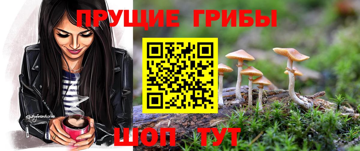 Галлюциногенные грибы мицелий  Вход с VPN  где найти   Галлюциногенные грибы Psilocybe  Армавир 